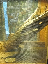 New cage-Right side