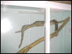 boa cage 6