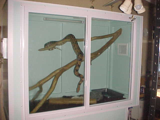 boa cage 3