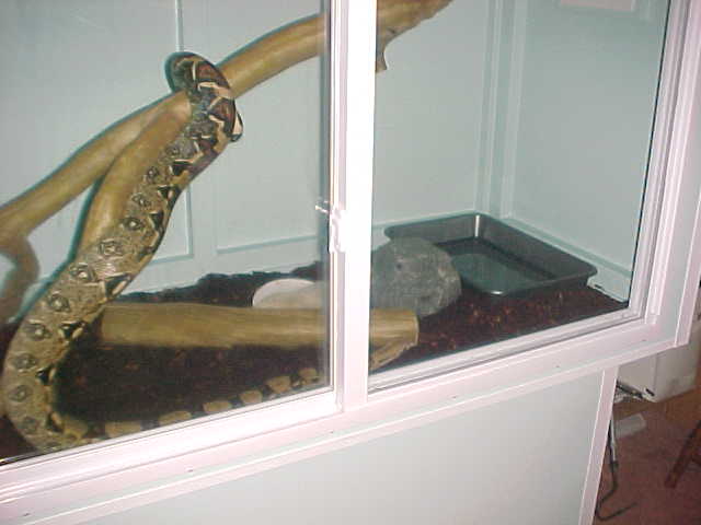 boa cage 7