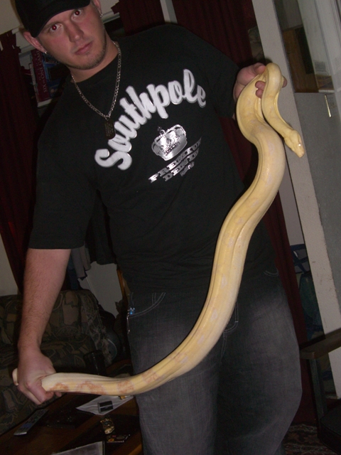 04 Female Albino