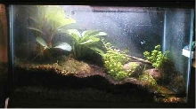 10 Gallon Terrarium