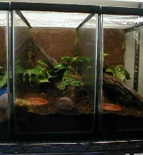 15 Gallon Terrarium