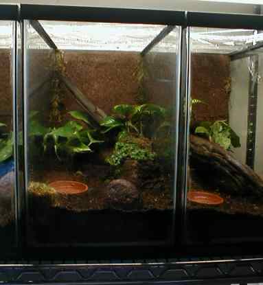 15 Gallon Terrarium