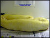 Boa Ovulation side view