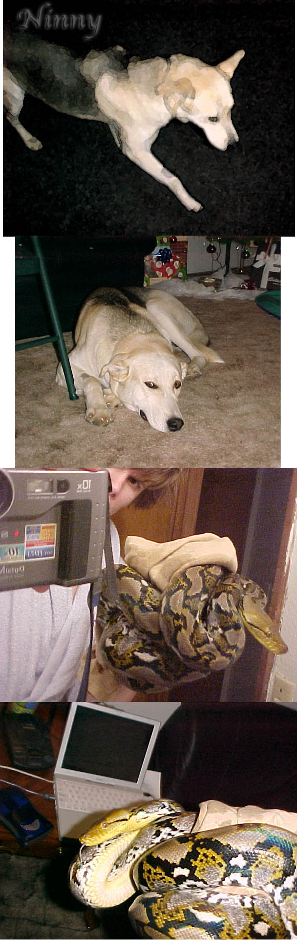 retic