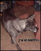 That's PRINCESS Cheyenne to YOU!