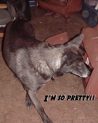 That's PRINCESS Cheyenne to YOU!
