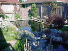My Brother's Pond