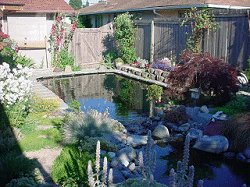 My Brother's Pond