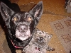 Xochi and  Belle