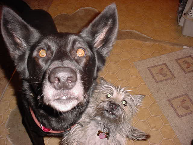 Xochi and  Belle