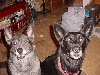 Xochi and Cheyenne