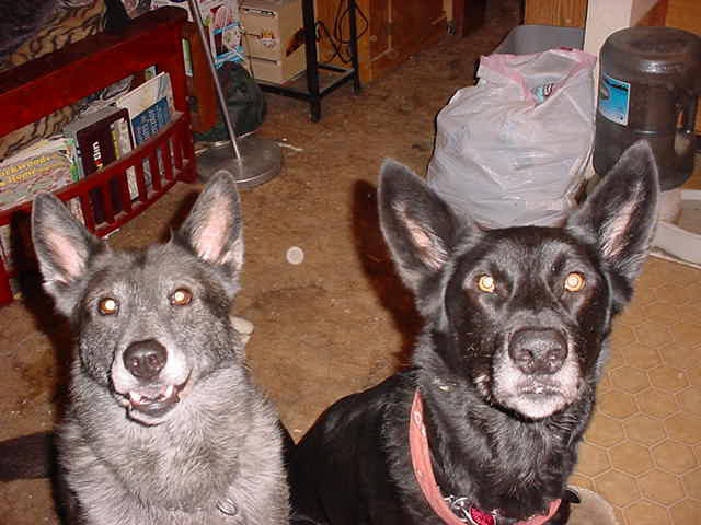 Xochi and Cheyenne