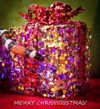 Little Leche keeping it festive!