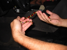 kingsnake