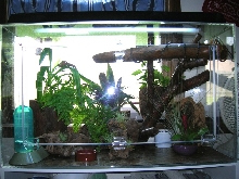 Crested Gecko Cage ("Mansion")