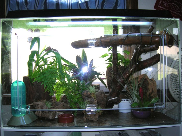 Crested Gecko Cage ("Mansion")