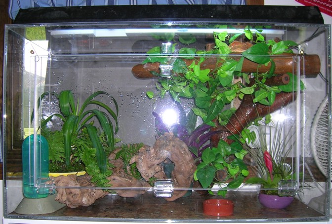 Crested Gecko Cage ("Mansion")
