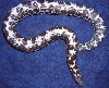 Anerythristic (Het paradox albino) Kenyan Sand Boa