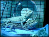 sudsBubbles2002