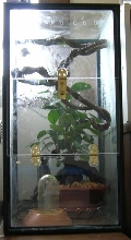 Ten Gallon Vertical with Acrylic front