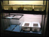 Quarantine Cage - Mantellas