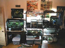 My Room