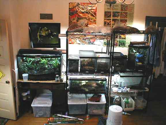 My Room