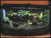 46 Gallon Terrarium