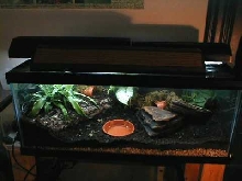 20 Gallon Terrarium