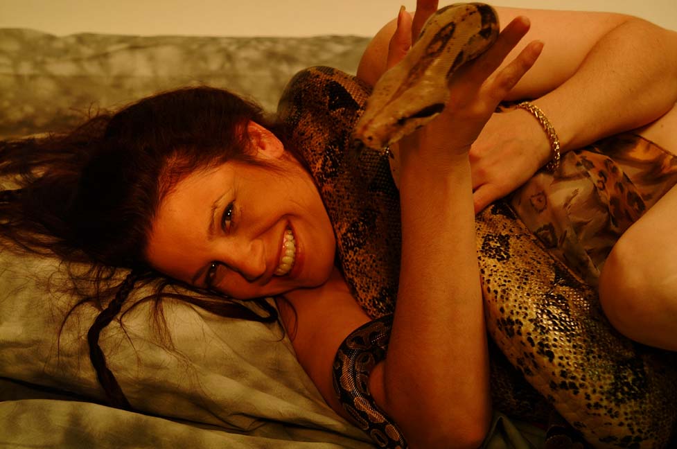 Playful Snakes