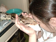 Inca at dinner time