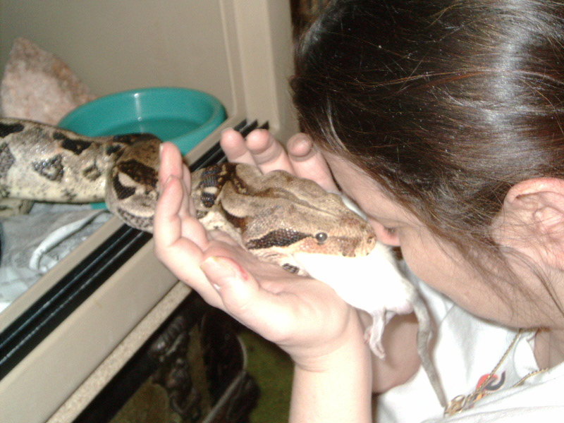 Inca at dinner time