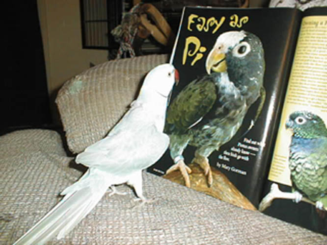 Winslow and his birdie magazine!
