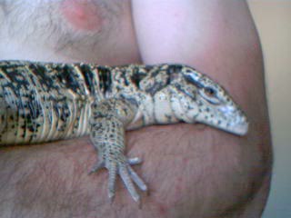 At Home On Dads Arm