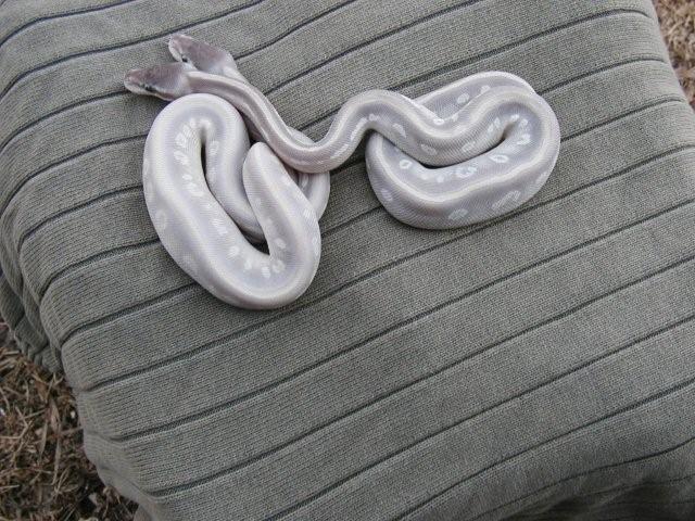 Mp's outdoor pic