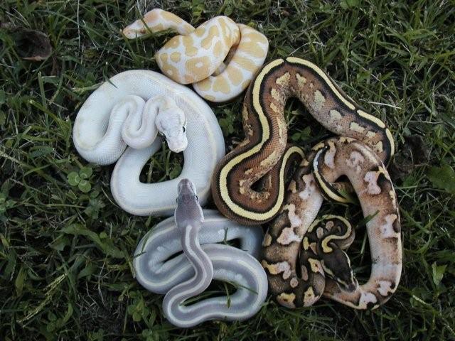 Cool mix of 09 babies