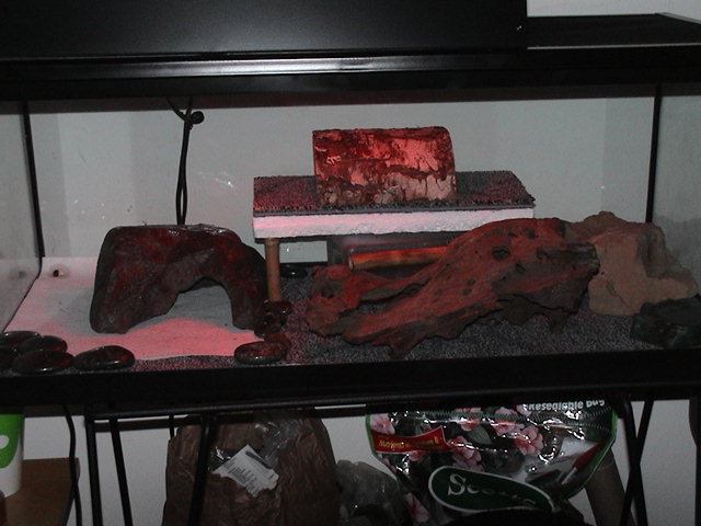 My tank