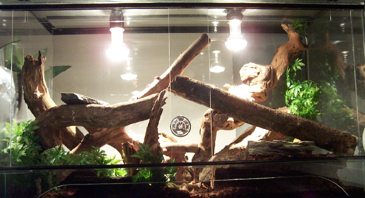 bassterrarium
