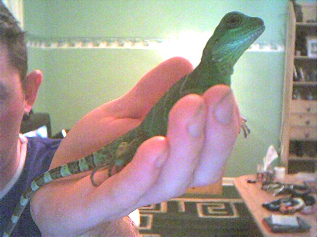 bruce,20 weeks