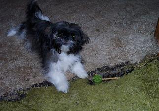 Caught in the Act!