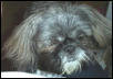 Mojo Tired