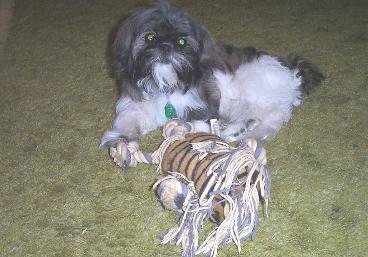 Mojo & his toy