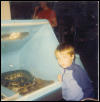 old  burm pic