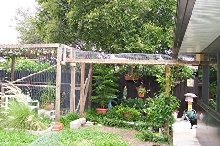 Outdoor Cat Enclosure and Cat Walk