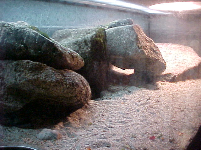 Uro Enclosure