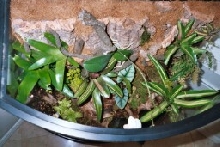 Top View of 29 Gal Bow Front