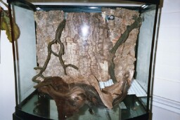 29 Gal Bow Front hardscape Front view