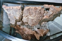 Hardscape Top view